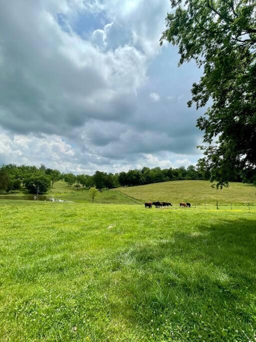 Bourbon Trail Cabin On The Farm Lawrenceburg エクステリア 写真