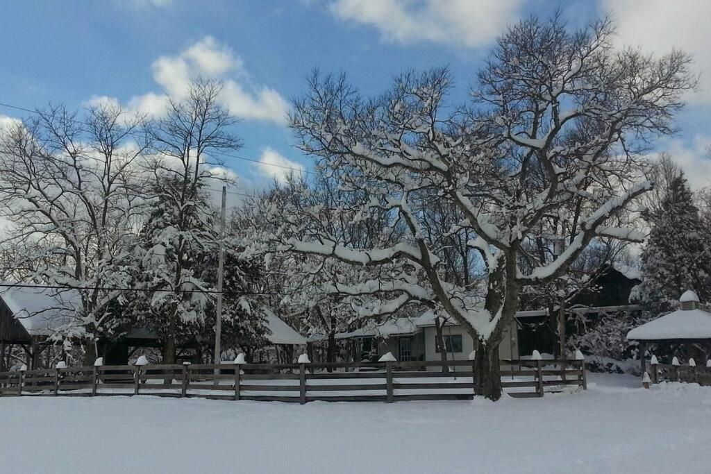 Bourbon Trail Cabin On The Farm Lawrenceburg エクステリア 写真