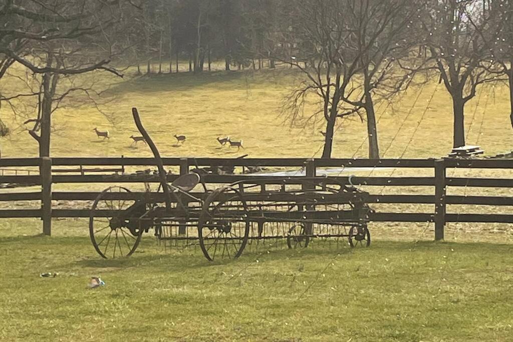 Bourbon Trail Cabin On The Farm Lawrenceburg エクステリア 写真