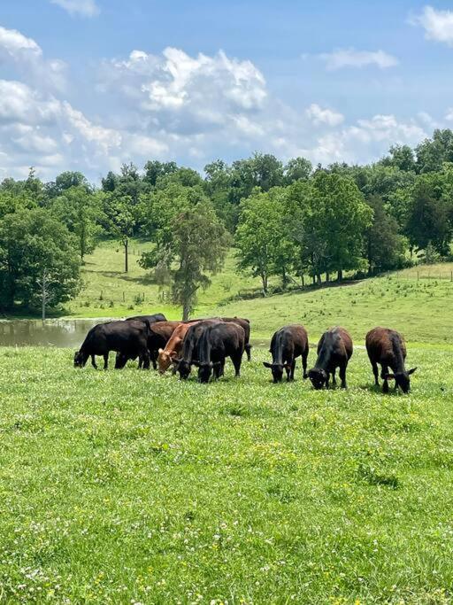 Bourbon Trail Cabin On The Farm Lawrenceburg エクステリア 写真